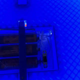 Hertha BSC Berlin LED-Leuchtschild – echtes Stadion-Feeling für Zuhause