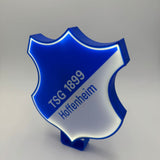 TSG 1899 Hoffenheim LED-Leuchtschild – echtes Stadion-Feeling für Zuhause